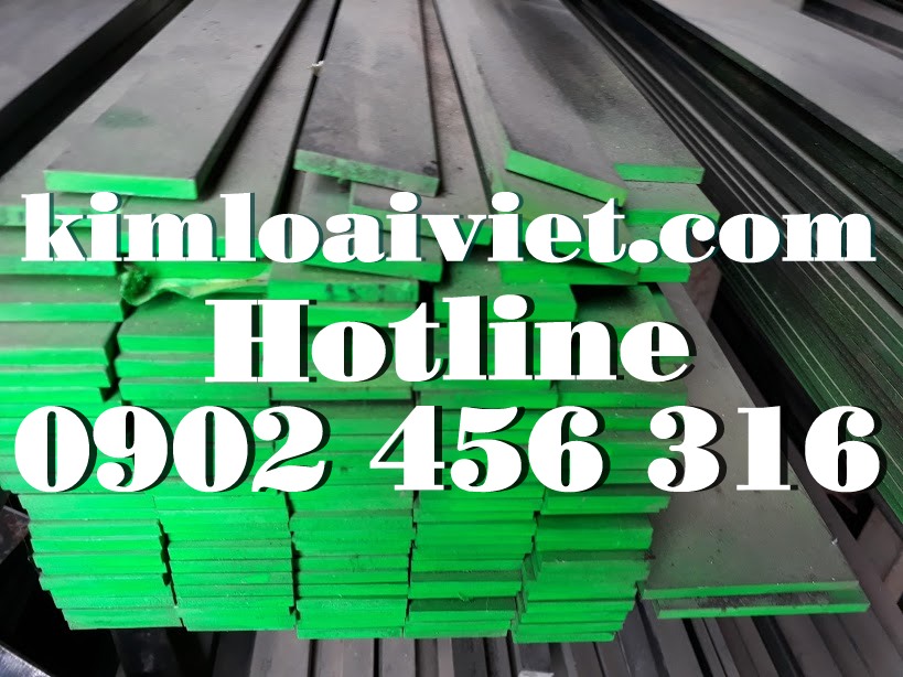 Thanh La 8 x 50 Inox 316