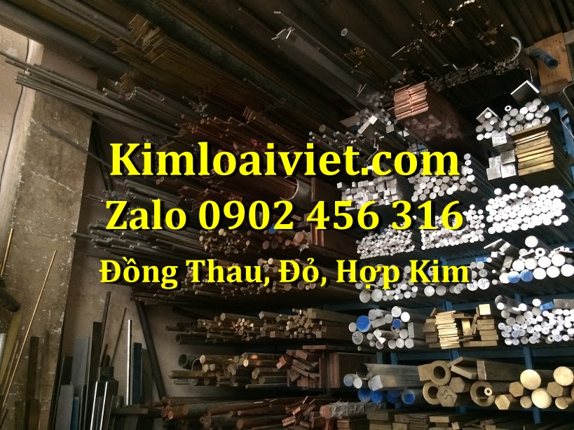 Đồng C1100 Tròn đặc 20mm
