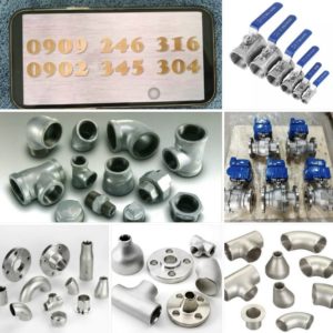 Y Lọc Inox 316